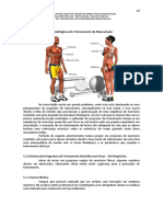 Unidade V Pratica de Treinamento em Musculacao