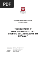 Trabajo de Estrategia Judicial Colegio de Abogados en España