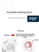 Placenta Microscopica