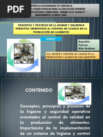 Conceptos, Principios y Procesos de La Higiene y Seguridad Operativa Orientados Al Control de Calidad en La Producción de Alimentos.