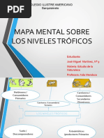 Mapa Mental Sobre Niveles Troficos