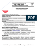 Formato Guía Grado 5 Ciencias LUZ STELLA MARIN