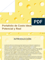 Portafolio de Costo Ideal, Potencial y Real