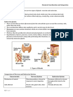 Human Endocrine System - Grade 11 & 12