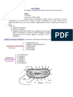 BACTERIAS