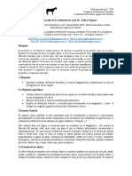 Aproximación en La Atención en Caso de Cólico Equino