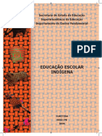 Educacao Escolar Indigena PDF