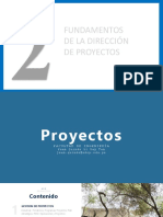 AI 02 10 Proyectos PDF