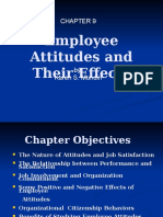 Employee Attitudes and Their Effects