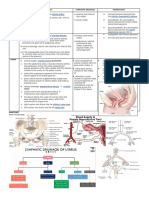 Co PDF