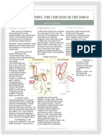 Bird Vs Dino