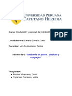 Informe #1 Peces PDF