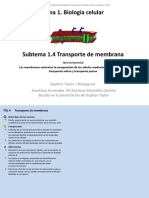 1.4. Transporte de Membrana