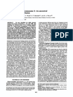 Chromosomal Fusion in Primate Human Anscestry