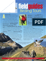 Field: Birding Tours