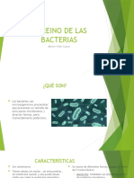 El Reino de Las Bacterias