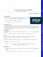 ApunteTLineales PDF