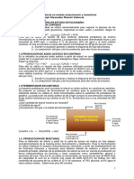 Balance de Materia en Estado Estacionario y Transitorio 2020 Jacipt PDF