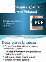 Embriología Especial Bucomaxilofacial