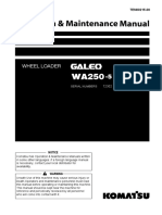 O&m Wa250-5 PDF