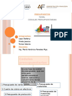 Cedulas Presupuestarias