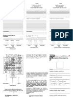 Formato Boletín Informativo