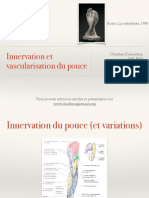 1-1 Innervation Et Vascularisation Du Pouce