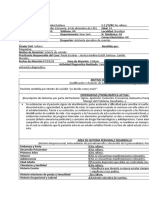 Formato Modelo de Anamnesis 22