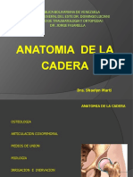 Anatomia de La Cadera Angie