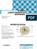 Virus Linfotropico Humano