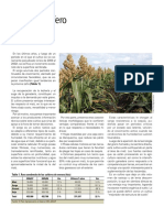 R123 - 52 Sorgo PDF