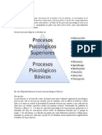 Procesos Psicológicos