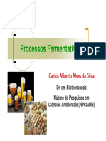 Processos Fermentativos Gerais PDF