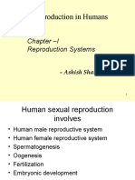 Sexual Reproduction in Humans: Chapter - I Reproduction Systems