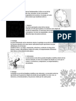 5 Raises de Ciencias Naturales, Adjetivos Articulos Verbos Preposiciones