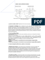 Vena Cava Superior Doble