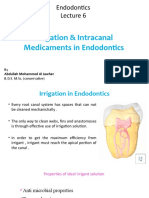 Endo Lec 6 With Audio