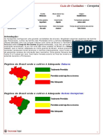 GC - Cerejeira PDF