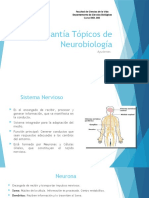 Resumen Primera Solemne Neuro