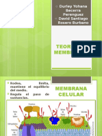 Teoria de Membranas