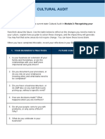 Cultural Audit: Values, Vision and Culture