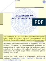 ESN-202 CLASS-6 Diagenesis