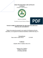 Ensayo Sobre El Ministerio de Abogado en El Proceso Judicial de Saneamiento