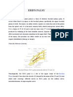 Erb'S Palsy: Definition/Description