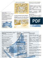 Trabajo Nic 38 PDF