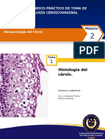 Histopatología Del Cérvix