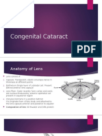 Presentation (1) - 1