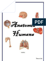 Resumo Anatomia - Parte I