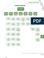 10 RNA Troubleshooting