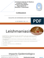 Leishmaniasis en Honduras